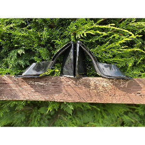 Elegant Ladies High Heel