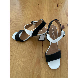 Women Sandal Pair With Buckles