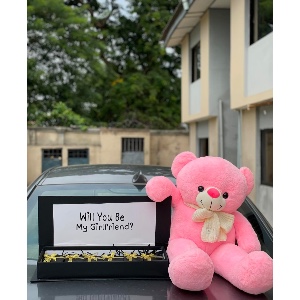 Be my girlfriend    package