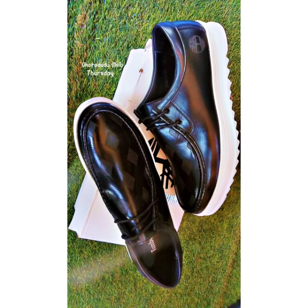 Timberland Sneakers Shoe