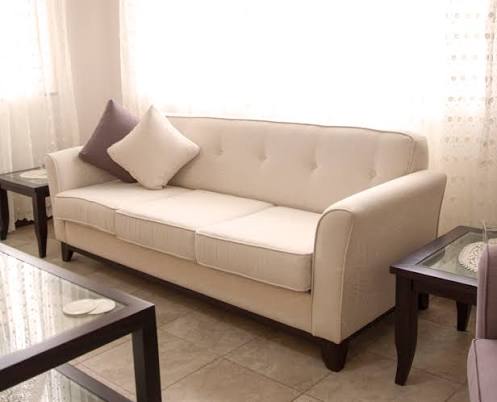 Parlor Cushion
