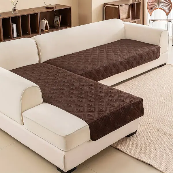 Two Coloured Cushion